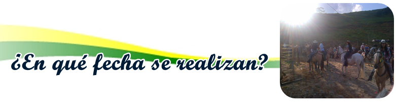 que_fechas_se_realiza.png