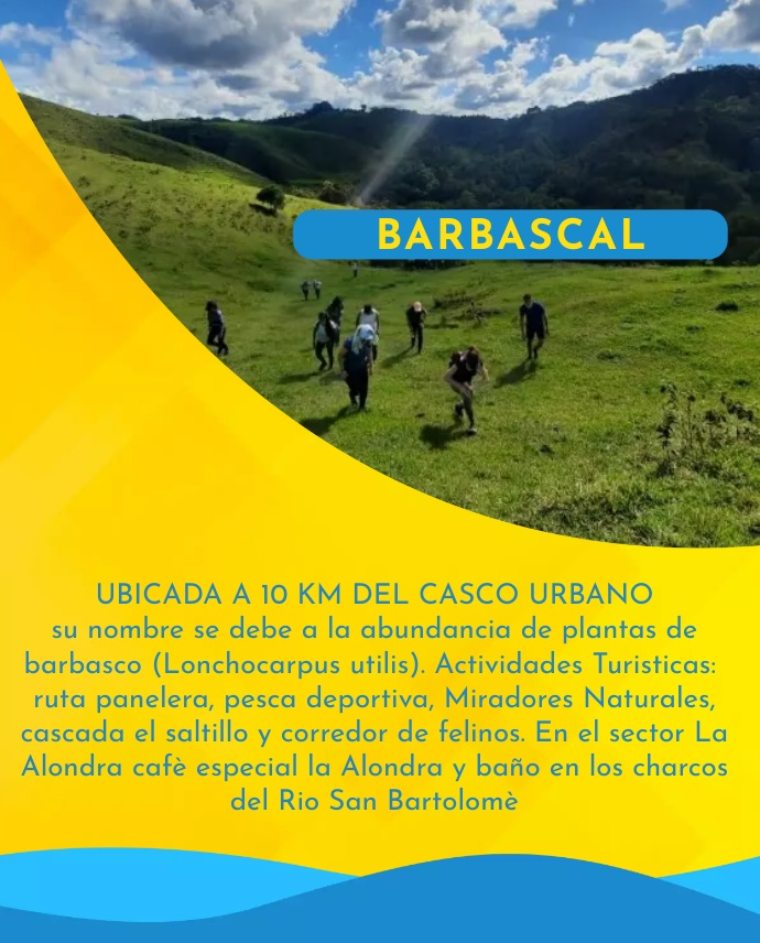 BARBASCAL.jpg