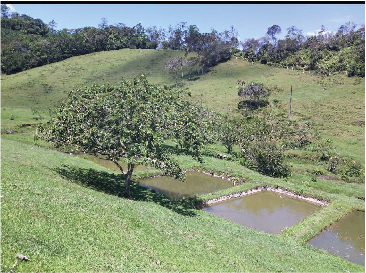 lagos_Mesa de trabajo 1.jpg