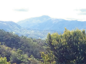 paos_Mesa de trabajo 1.jpg